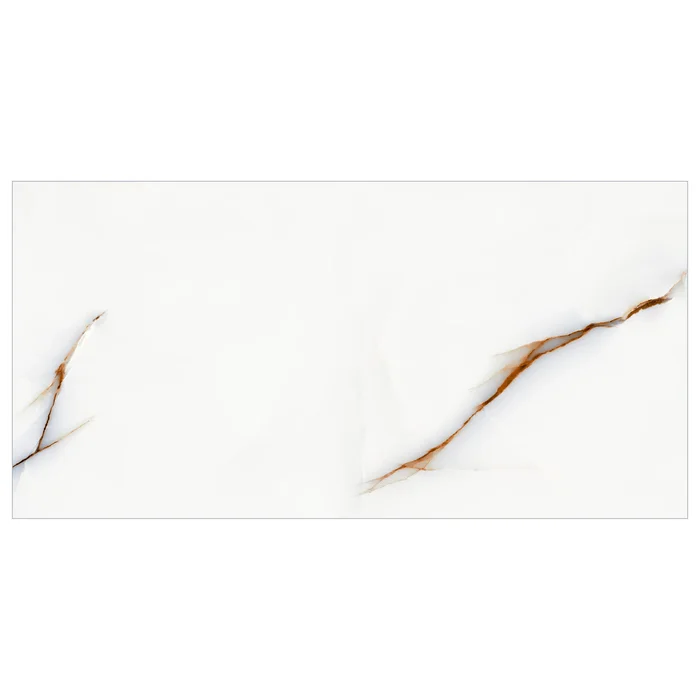 SAVONA 60X120