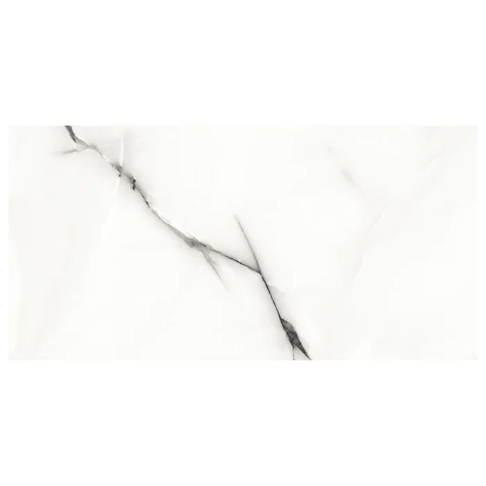 SAVONA 60X120 GRIS
