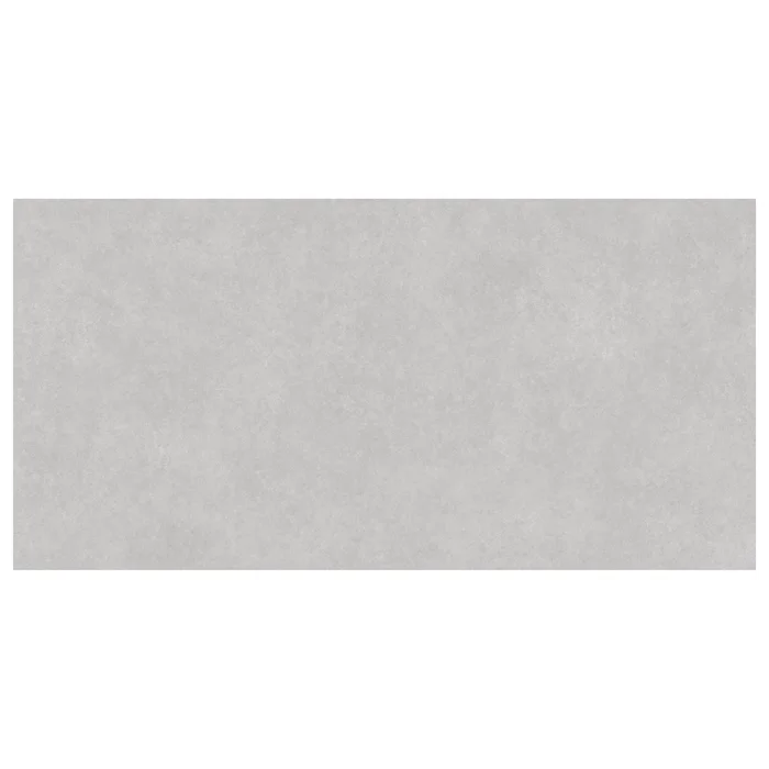 ZEN 60X120 GRIS